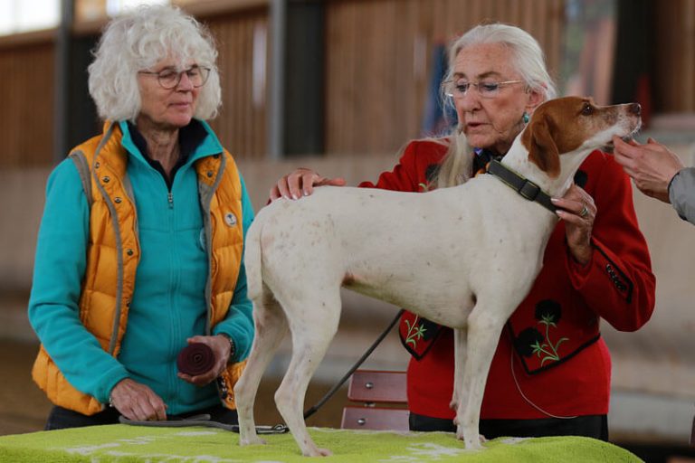 ttouch-n-click-1c-001-0P2A6892