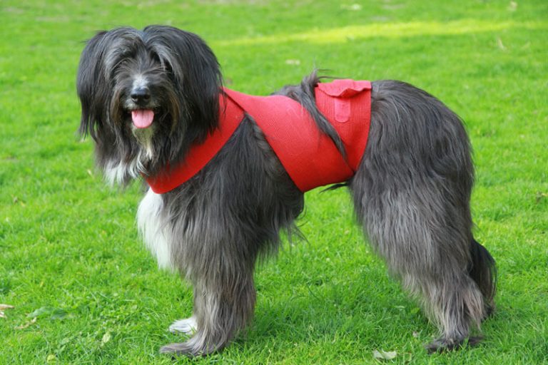 ttouch-n-click-1c-003-0053