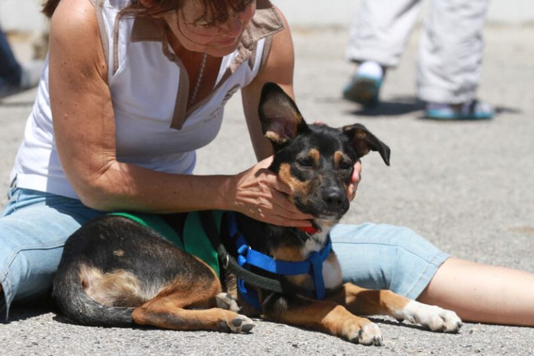 ttouch-n-click-1c-004-1157