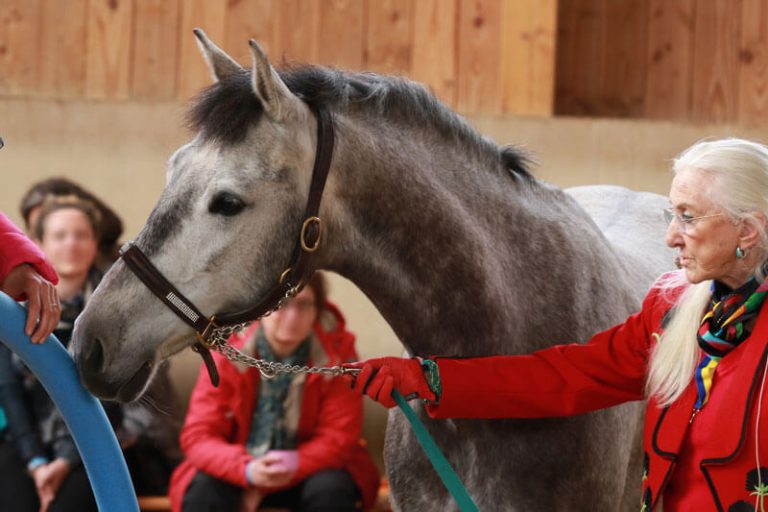 ttouch-n-click-1e-002-0P2A7092