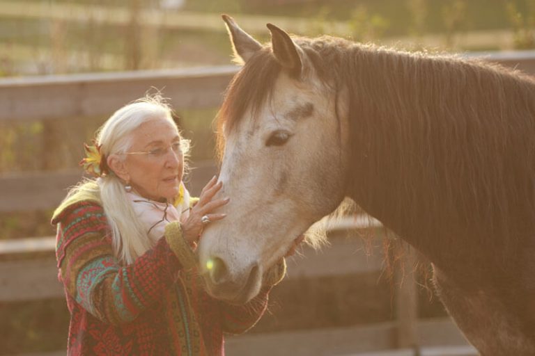 ttouch-n-click-1e-003-0P2A5637