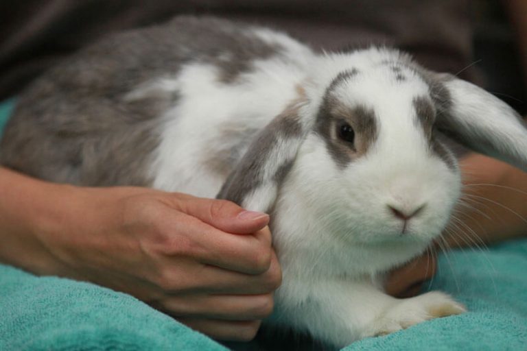 ttouch-n-click-1f-001-0179