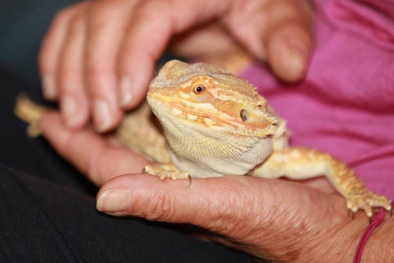 ttouch-n-click-1f-003-1022