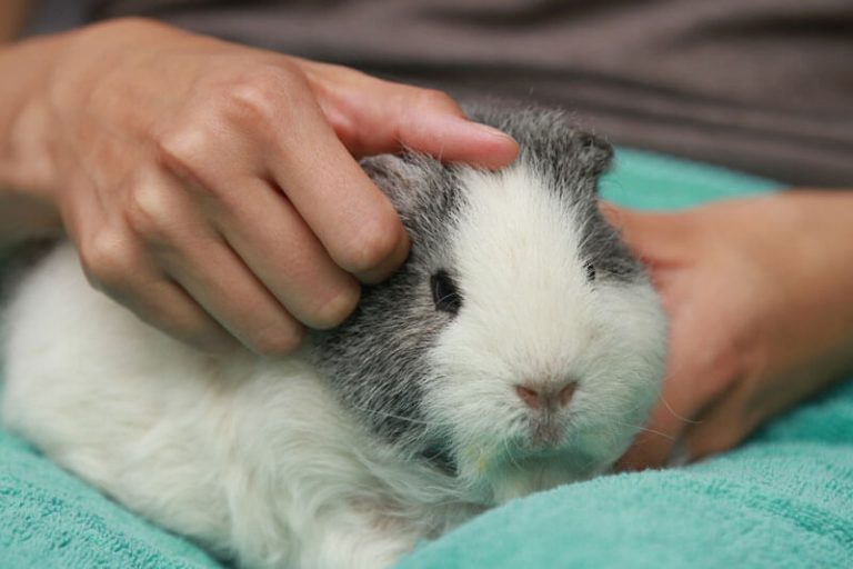 ttouch-n-click-1f-004-0287