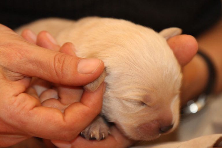 ttouch-n-click-3h-001-0414