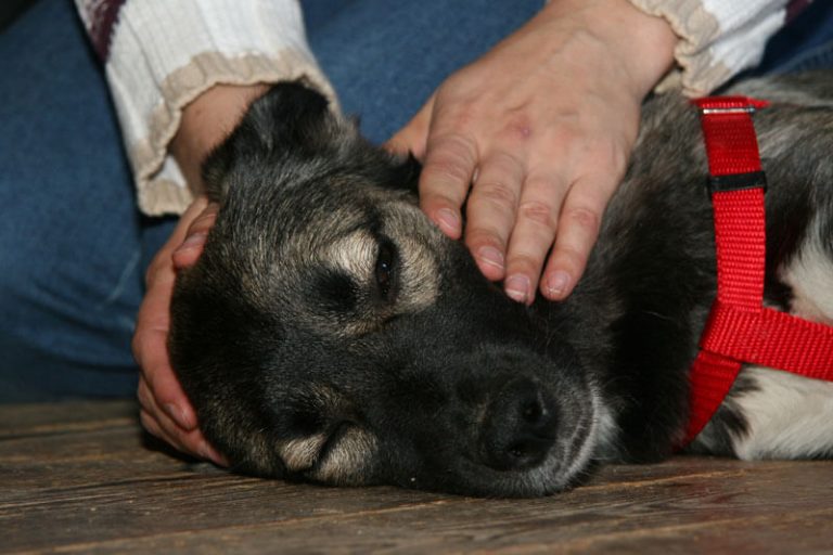 ttouch-n-click-5c-004-0054