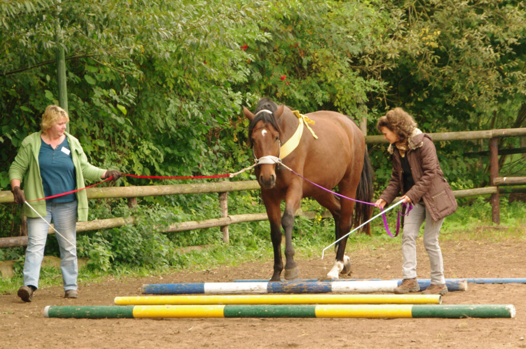 Bettina und Violetta