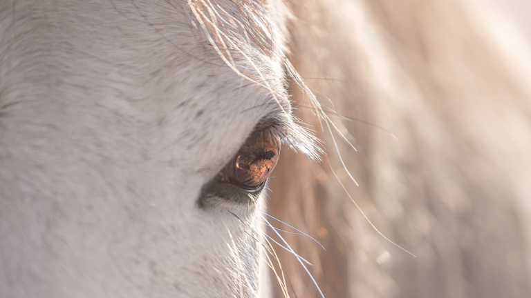 Startseite Header Bild