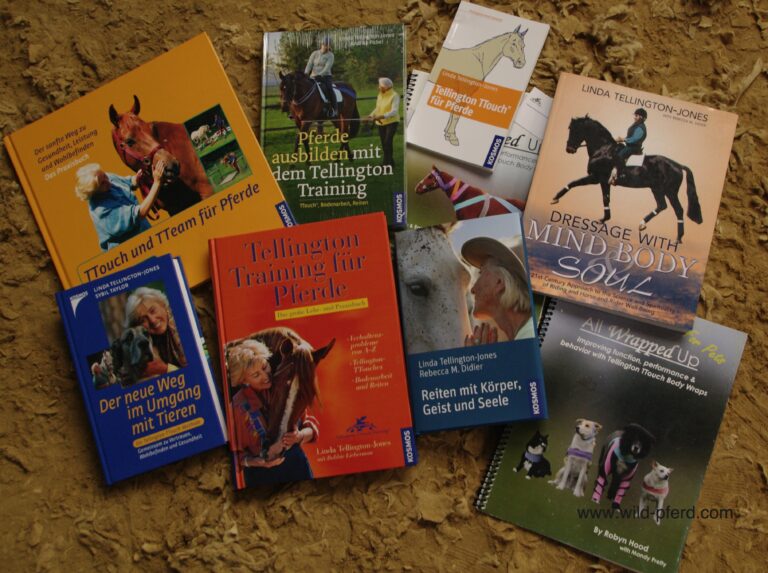 Hilfreiche Literatur