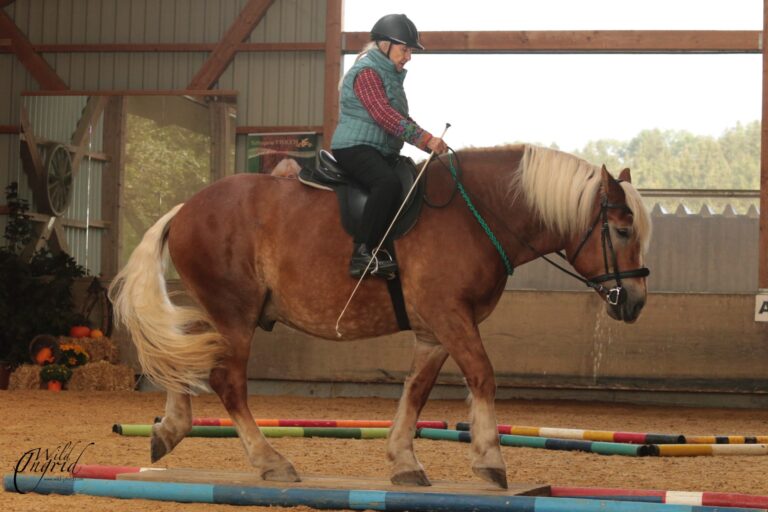 Linda Tellington Jones (2)