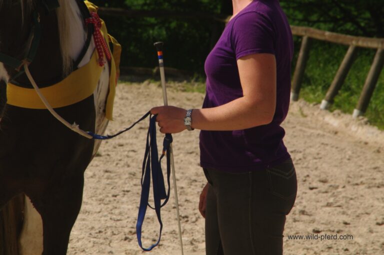 Tellington TTouch Methode (3)