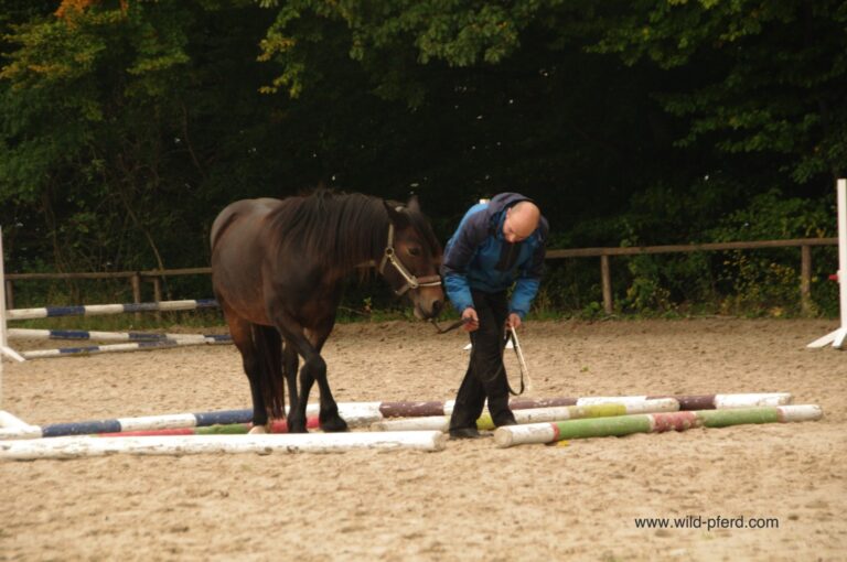 Tellington TTouch Methode (4)