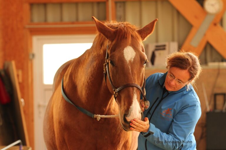 Tellington TTouch Methode (6)